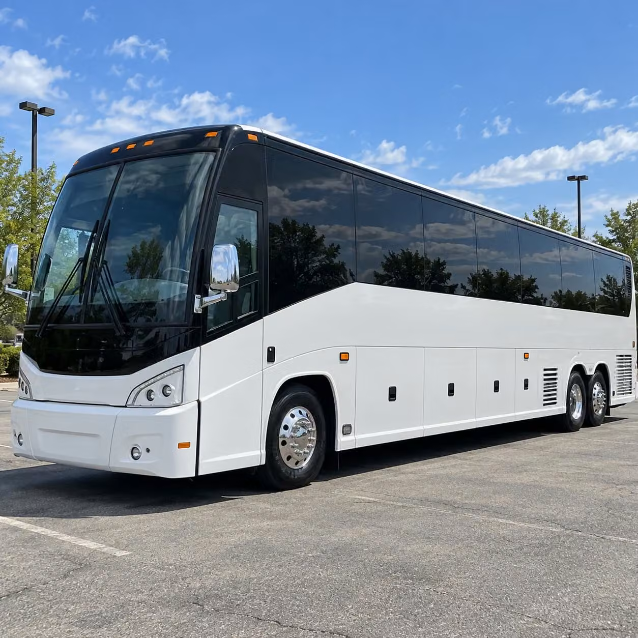 field trip buses to new bedford s world class whaling history and maritime attractions